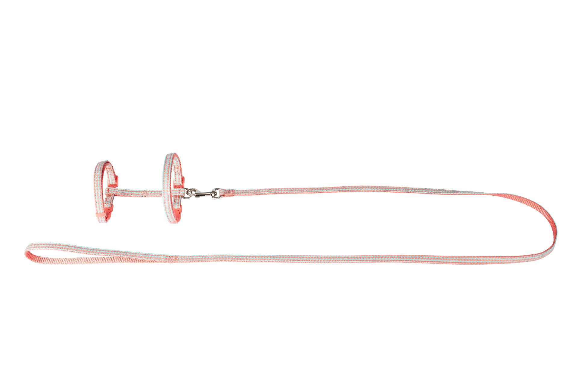 Cat Harness + Leash - Orange