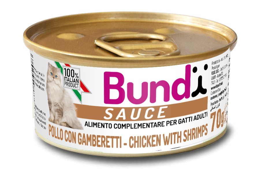 Bundy Sauce Chicken and Shrimps 70g - Chicken and Shrimps - 70g