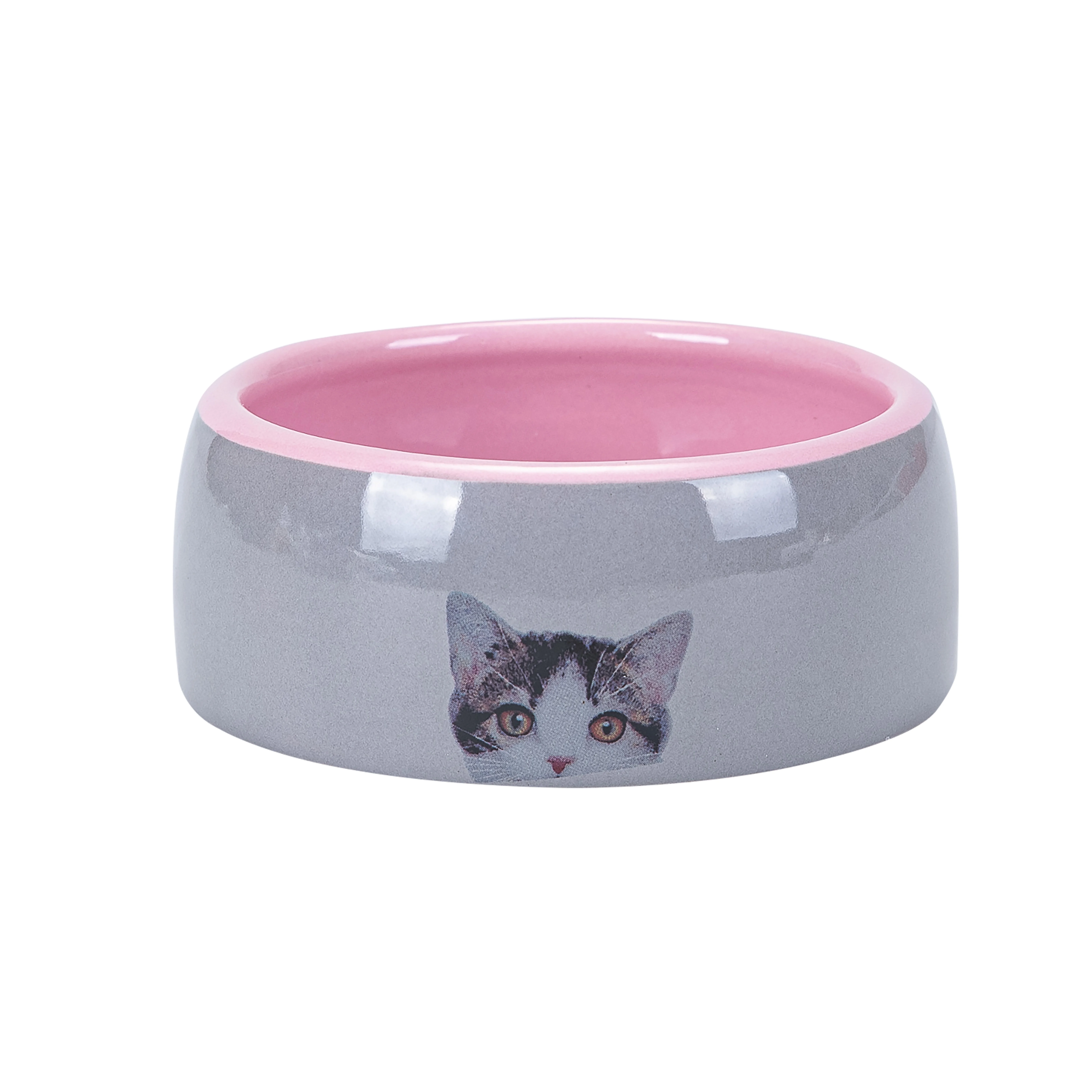 Tabby Cat Bowl