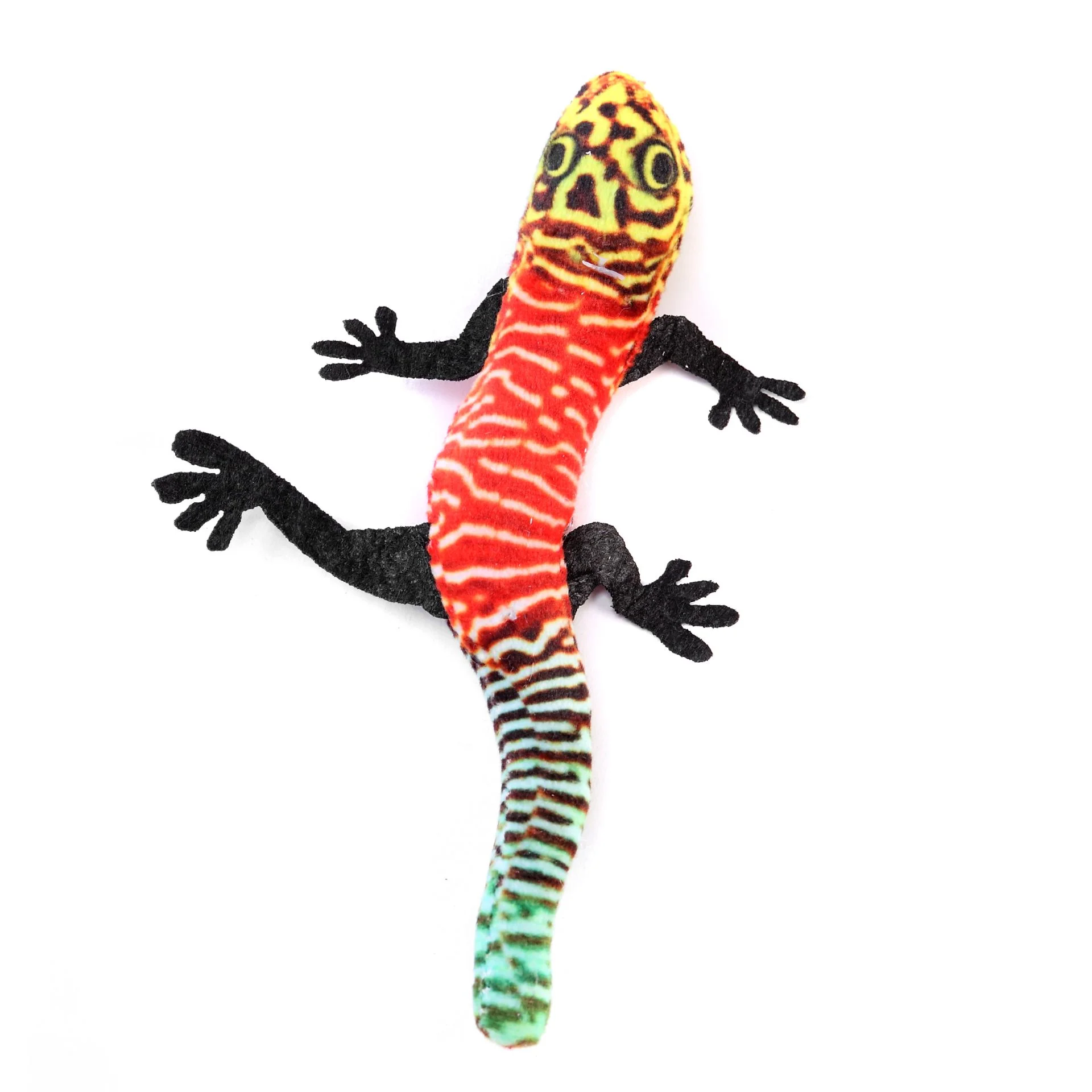 Multicoloured Lizard