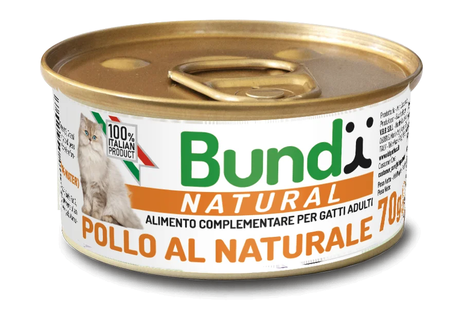 Bundy Natural Chicken 70g