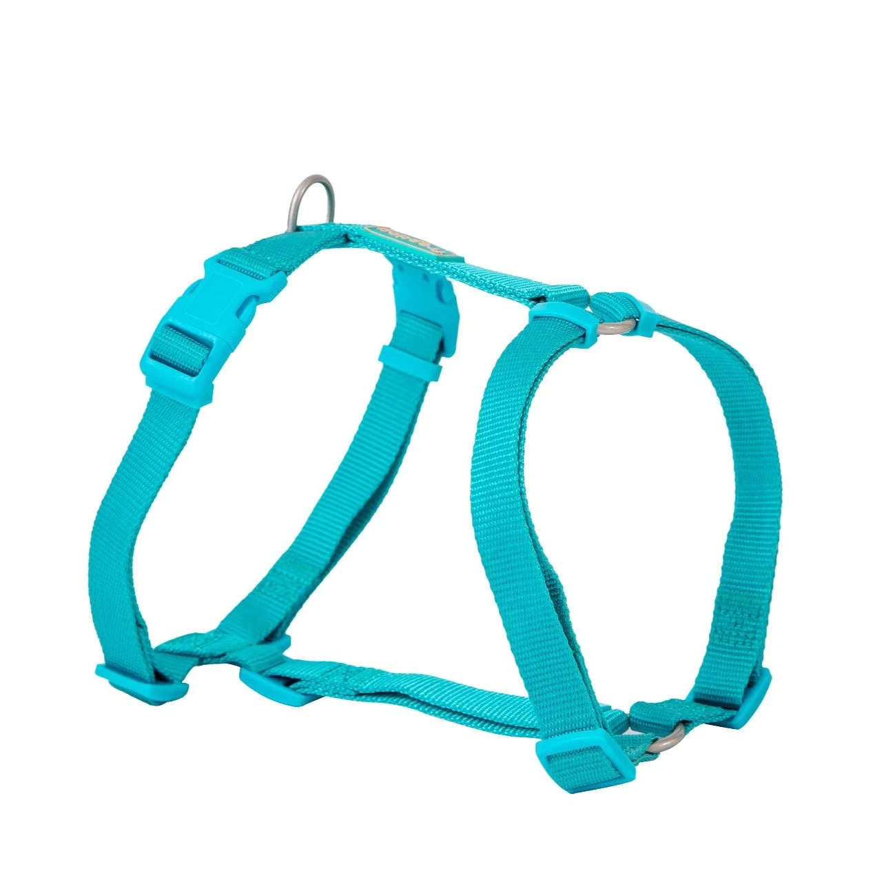 Basic Nylon Harness