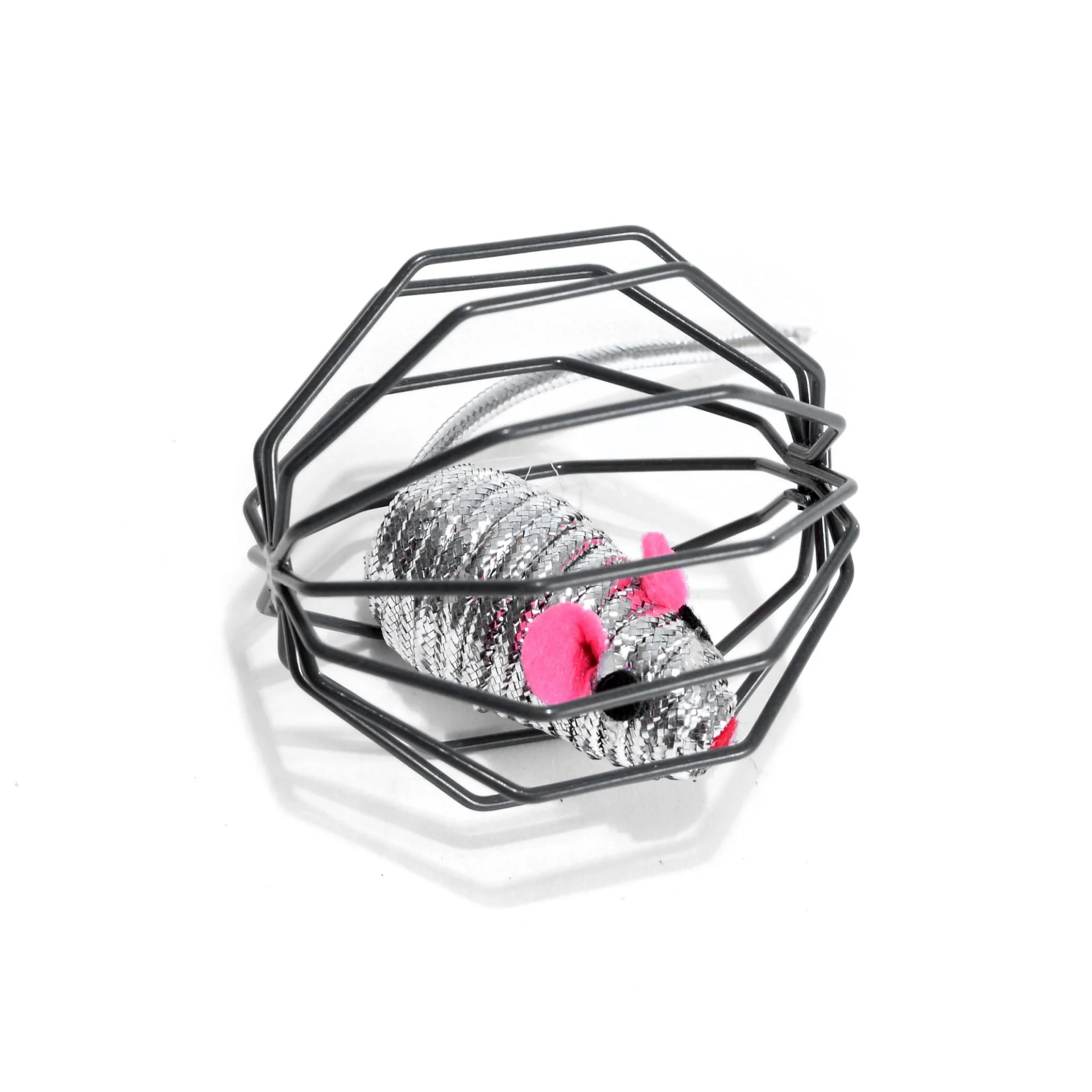 Metal Cage With Mouse